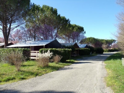 Freeflower (without bathroom facilities) — 6