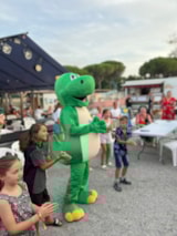 Foto #27 van Flower Camping Provence Vallée