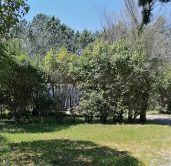 Pitch - Nature Package (Without Electricity) (1 Tent, Caravan Or Motorhome / 1 Car) - Flower Camping Provence Vallée