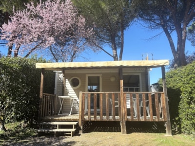 STANDARD mobile home with 1 bedroom — 1
