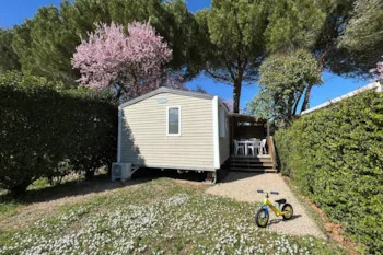 Accommodation - Eco Lodgia Mobile Home - Flower Camping Provence Vallée