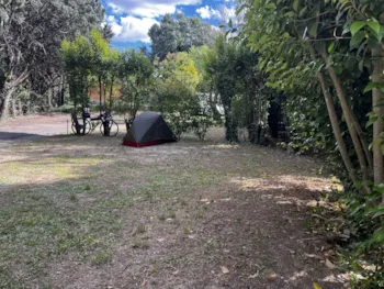 Stellplatz - Natur-Pauschale Solo (Ohne Strom) - Flower Camping Provence Vallée