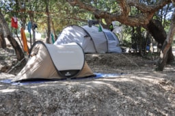 Kampeerplaats(en) - Natuurpakket (1 Tent / 1 Auto) - Camping le Damier