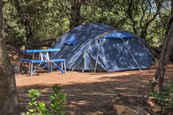 Stellplatz - Stellplatz Komfort (1 Zelt / 1 Auto / Strom) - Camping le Damier