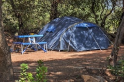 Pitch - Comfort Package (1 Tent / 1 Car / Electricity) - Camping le Damier