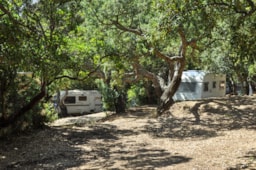 Pitch - Package Caravan + Car + Electricity - Camping le Damier