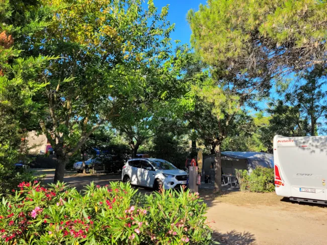 Camping Les Cigales - image n°4 - Camping Direct