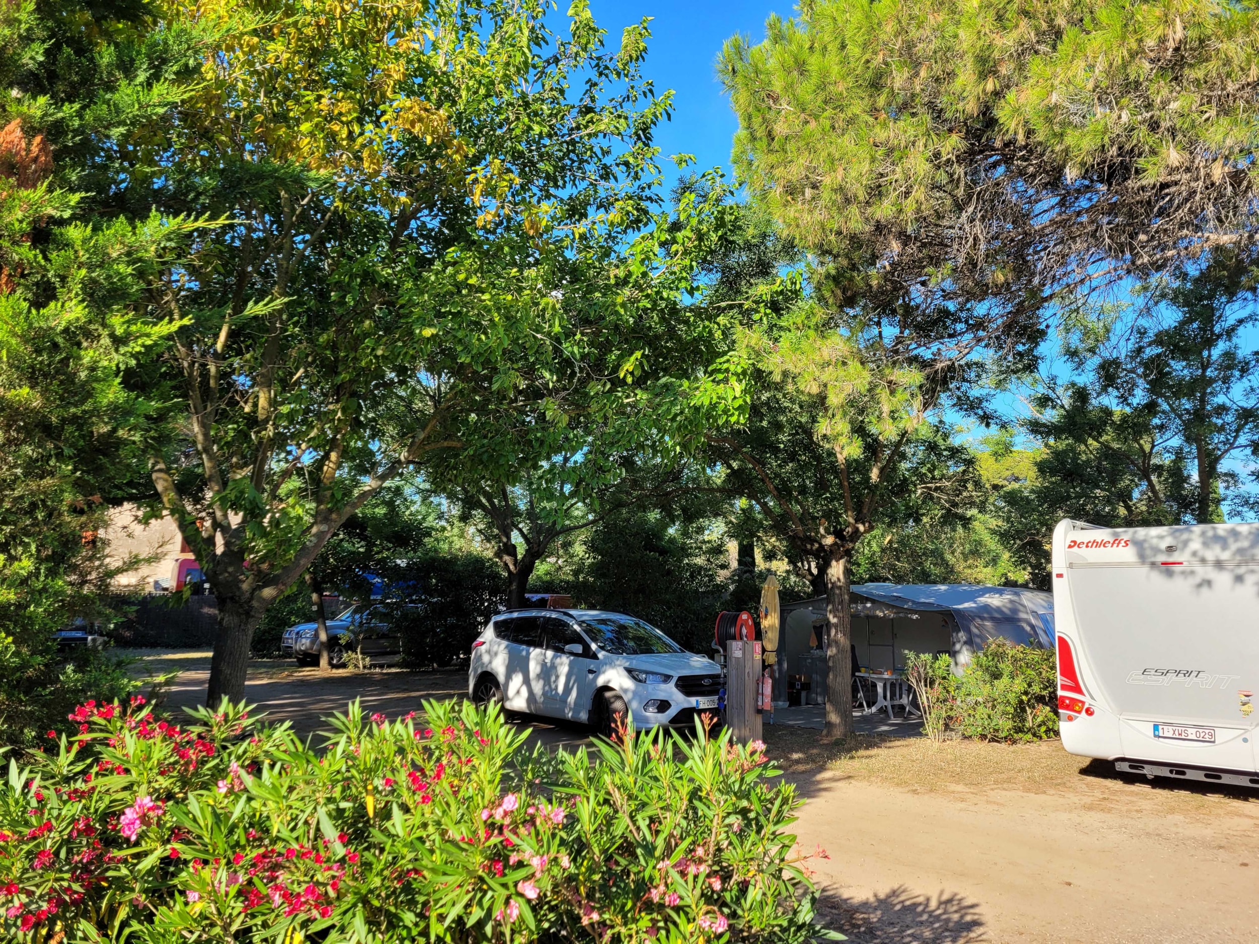 Camping Les Cigales — Photo 4