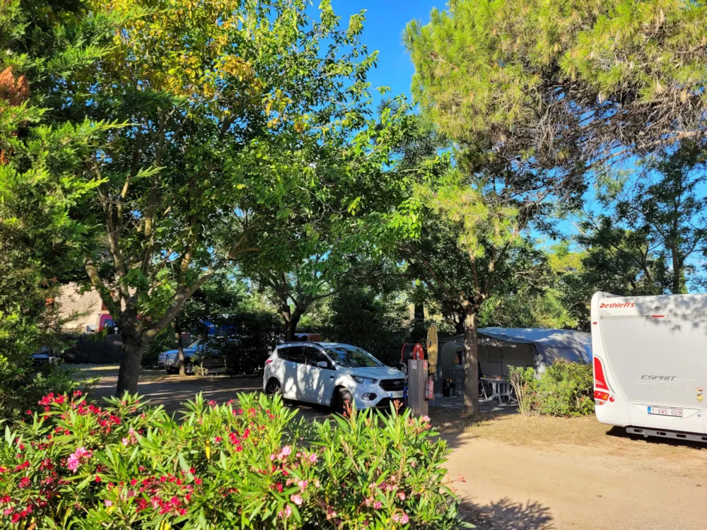 Emplacement - Emplacement Camping 2P + 1 Voiture + Tente Ou Caravane + Électricité - Camping Les Cigales