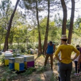 Foto #25 van Parenthèses imaginaires