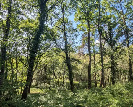 Kampeerplaats(en) - Nouveau ! Parking Halte Van | Dès 20€ - Parenthèses imaginaires