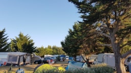 Camping Le Jaunay - image n°6 - Roulottes