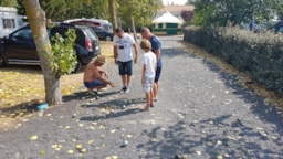 Camping Le Jaunay - image n°9 - Roulottes