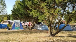 Emplacement - Forfait 2 Personnes (Tente Ou Caravane + Voiture + Douches Chaudes) 1/6 Pers - Proche Route - Camping Le Jaunay