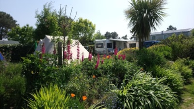Pitch - Van/campervan (Max 7m), tent WITH Electricity — 1