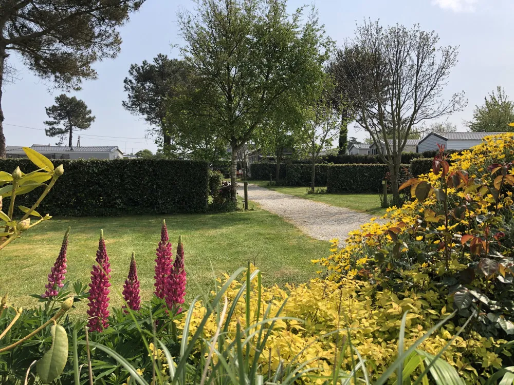 Emplacement - Emplacement Nu Xl Camping-Car, Caravane Ou Tente Avec Electricité - Camping de la Plage