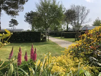 Emplacement - Emplacement Nu Xl Camping-Car, Caravane Ou Tente Avec Electricité - Camping de la Plage