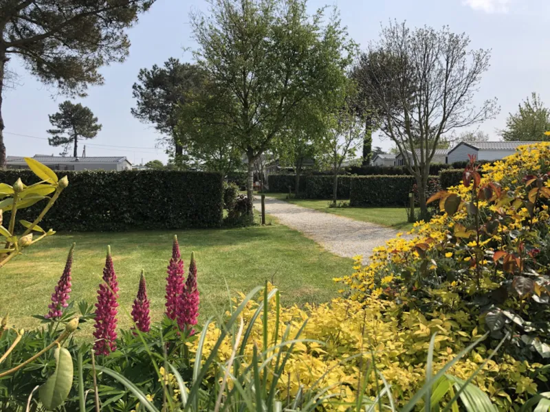 Emplacement Nu Xl Camping-Car, Caravane Ou Tente Avec Electricité