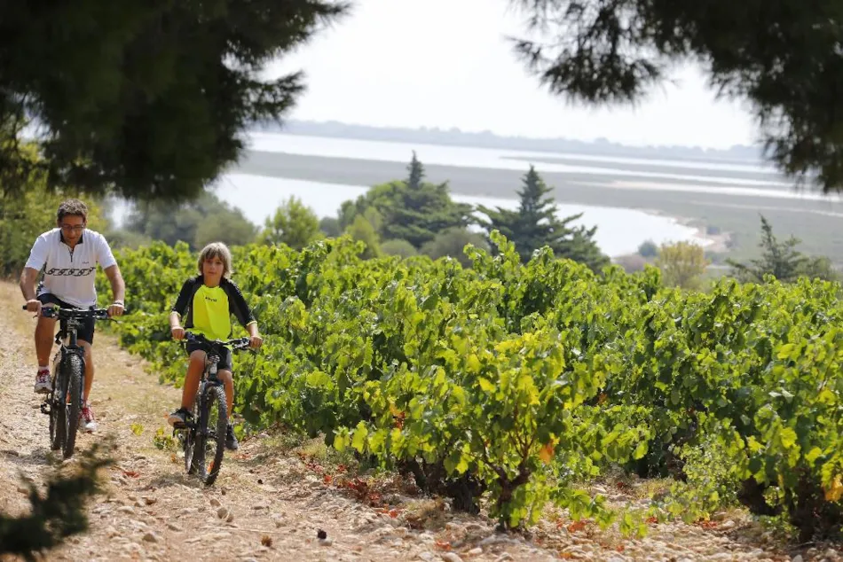 Camping Naturiste Le Clapotis