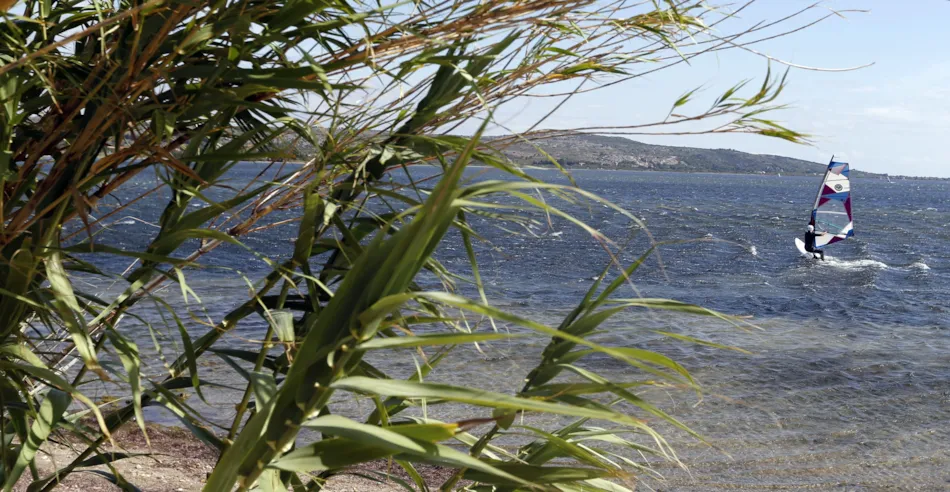 Camping Naturiste Le Clapotis