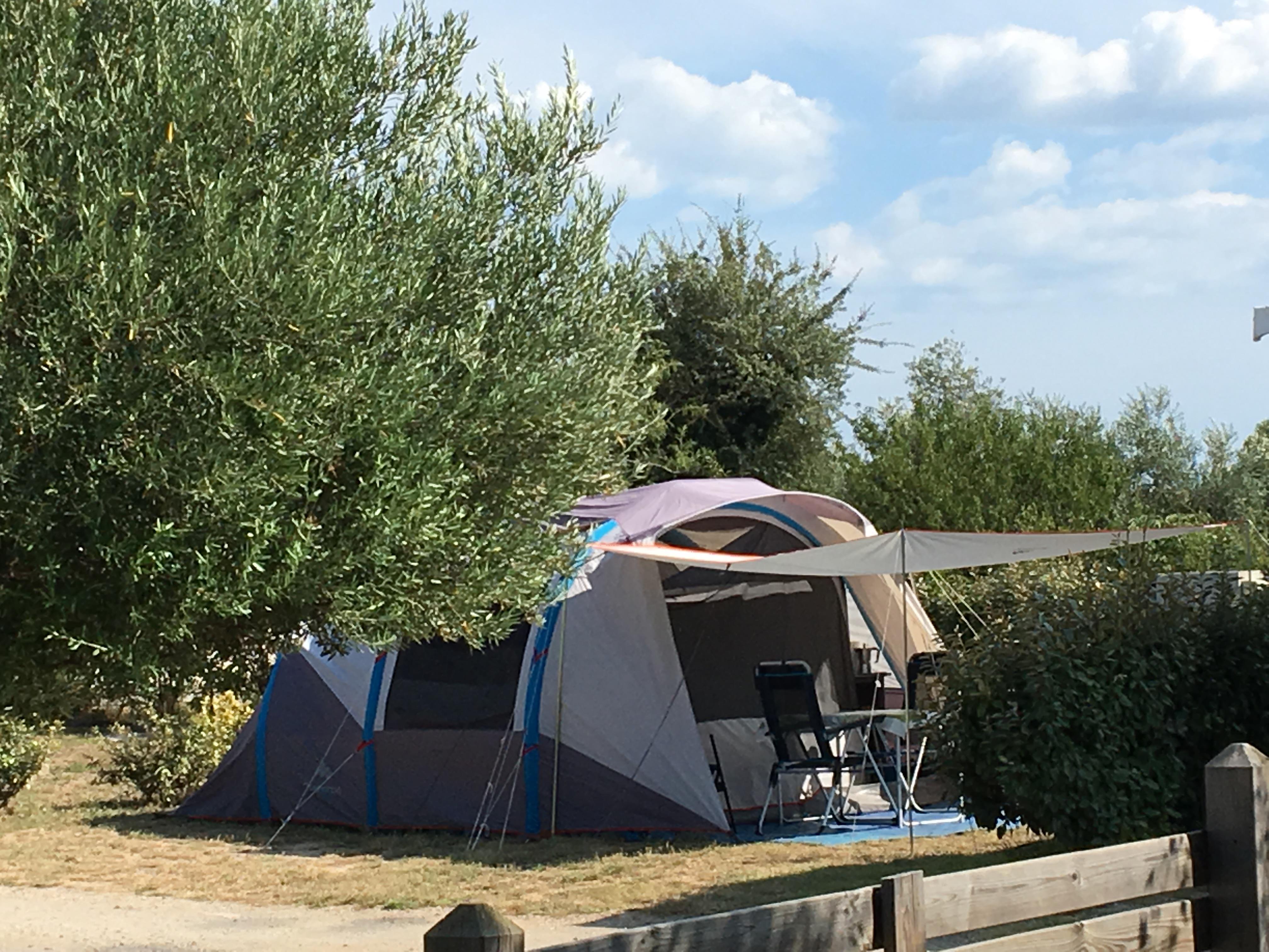 Package: Pitch + tent/caravan/camping-car + electricity