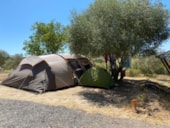 Camping les Amandiers
