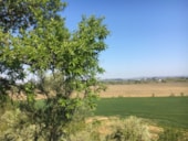 Camping les Amandiers