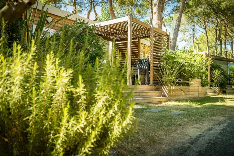 Sunêlia Prestige Declik