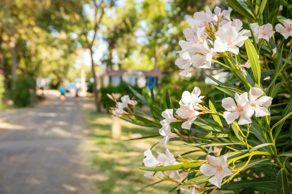 Camping Sunêlia Ma Prairie