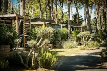 Camping Sunêlia Ma Prairie - image n°2 - Camping Direct