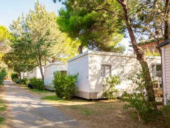 Mietunterkunft - Sunêlia Prestige Figuier - - Camping Sunêlia Ma Prairie