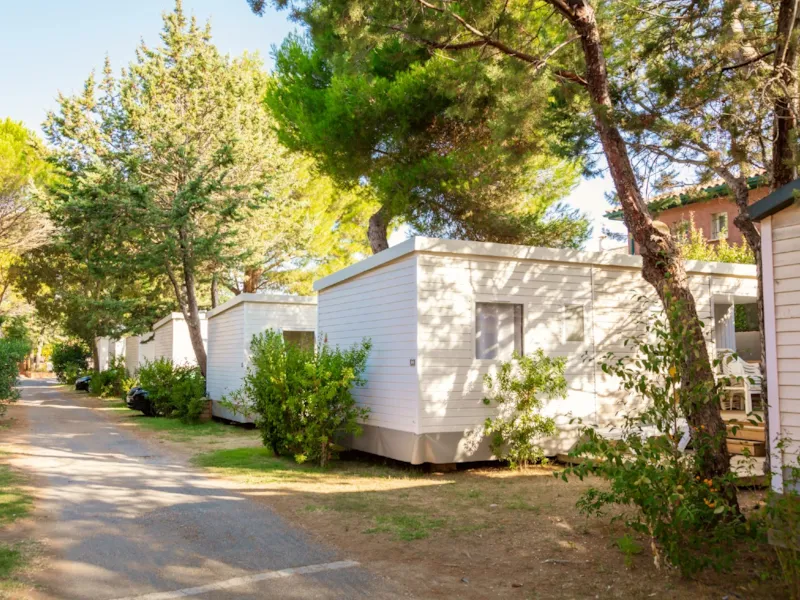 Sunêlia Prestige Figuier