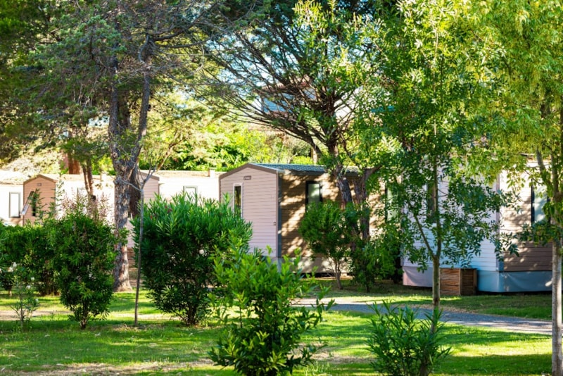 SUNÊLIA PRESTIGE OLIVIER