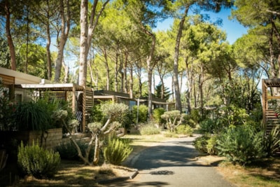 Cottage GRAND PRESTIGE TAOS XL — 2
