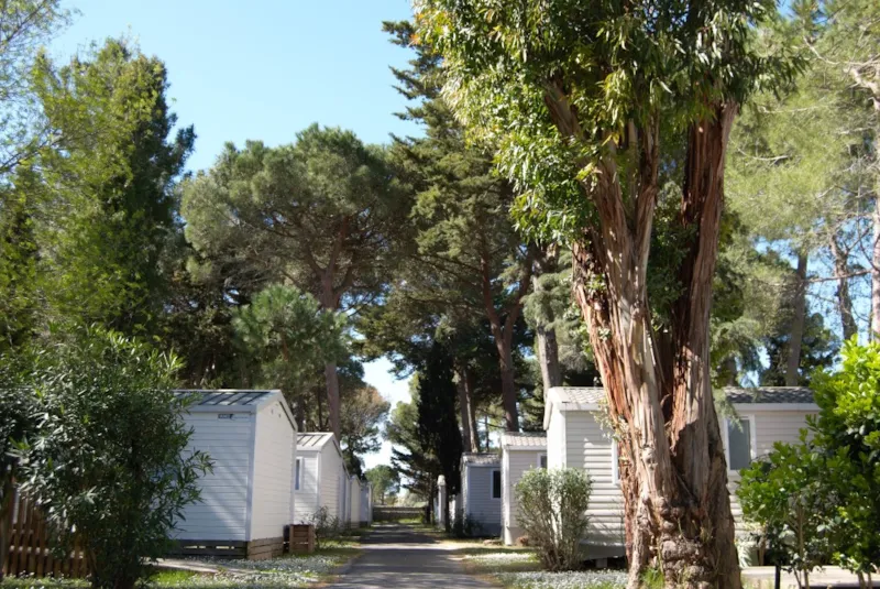 Sunêlia Confort Pinede