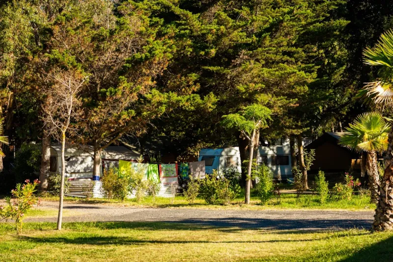 Emplacement Classique Standard