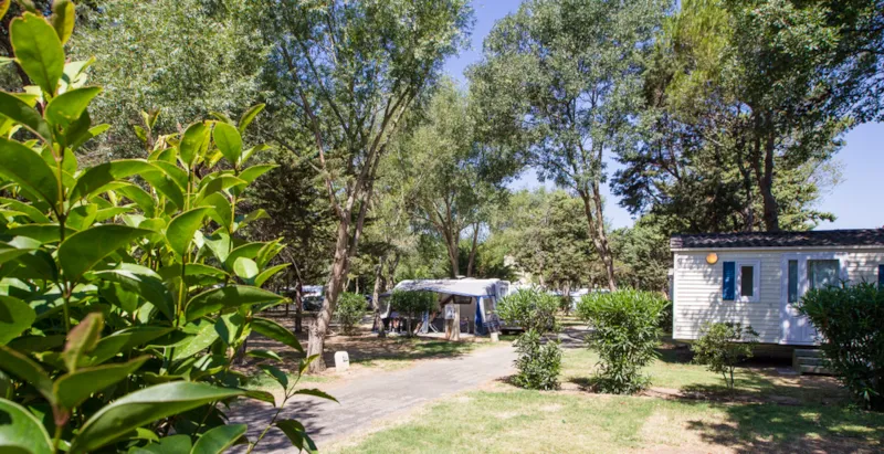 Emplacement Grand Confort Standard