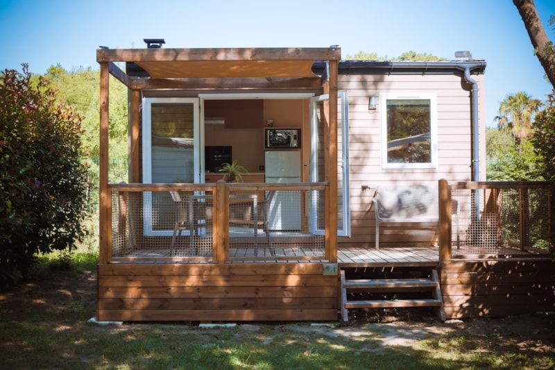 SUNÊLIA PRESTIGE ORANGER  - New for 2026