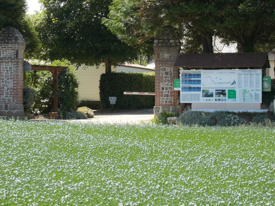 Camping Maupassant