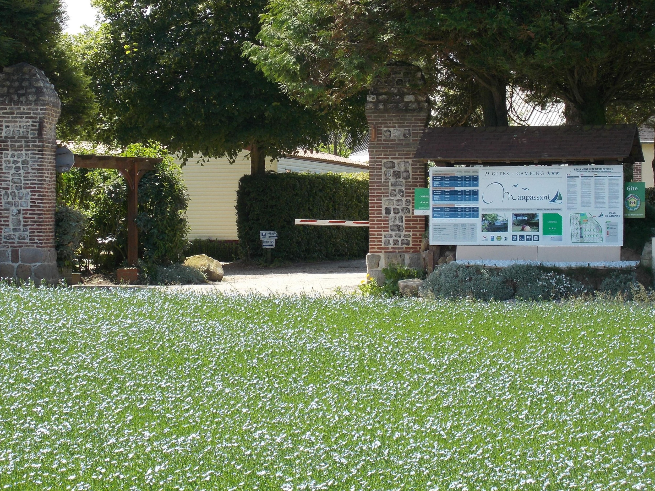 Camping Maupassant — Foto 7