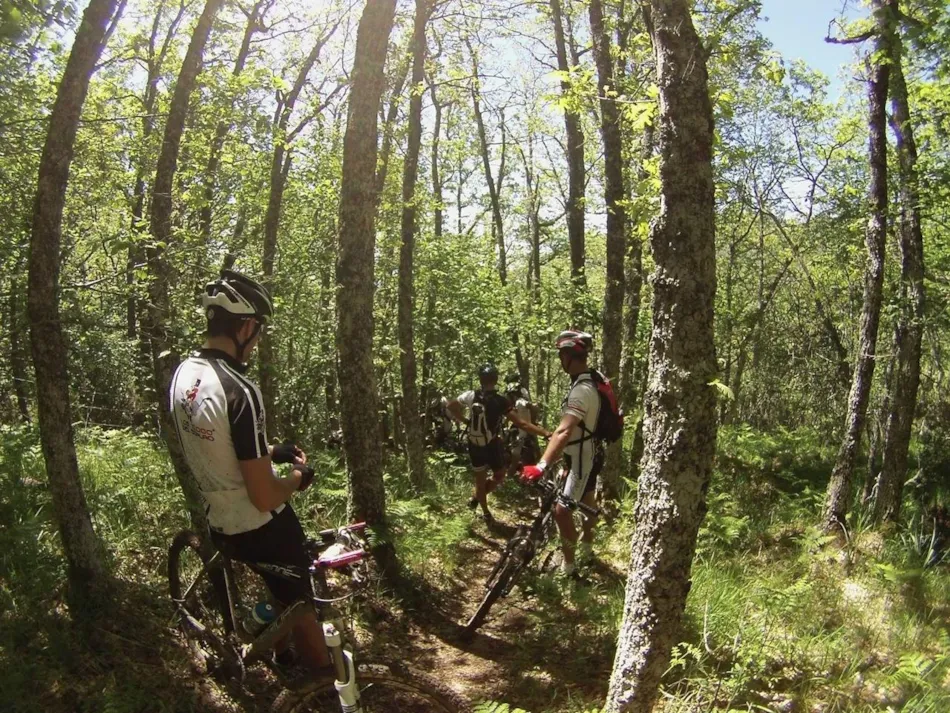 Camping Fuentes Carrionas