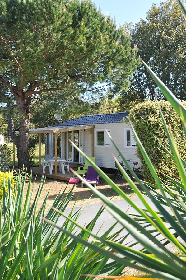 Cottage Grand Confort Maldives 32M² - 2 Chambres / Terrasse En Bois Couverte