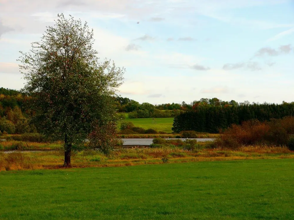 Campingplatz Jungferweiher - image n°5 - UniversalBooking