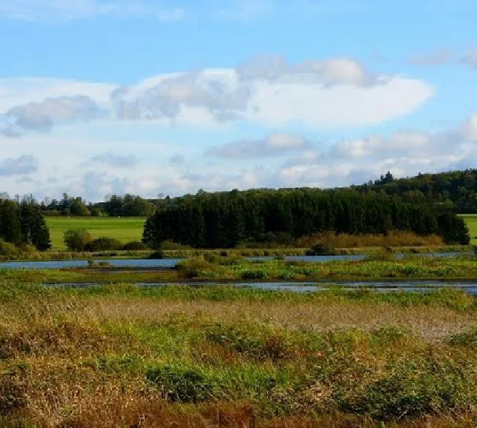 Campingplatz Jungferweiher - image n°6 - UniversalBooking