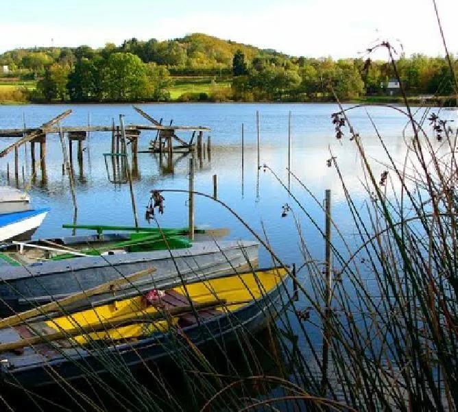 Campingplatz Jungferweiher - image n°8 - UniversalBooking