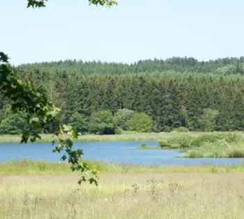 Kampeerplaats(en) - Standplaats Caravan / Camper - Campingplatz Jungferweiher