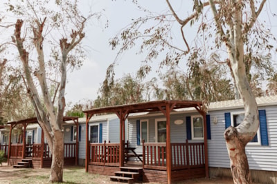 Bungalow Confort Daurada — 2