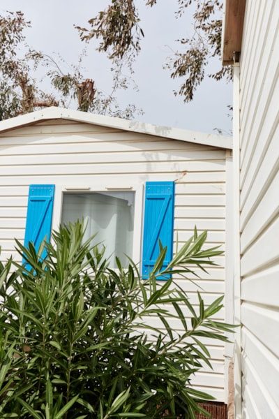 Bungalow Confort Delta 4 — 1