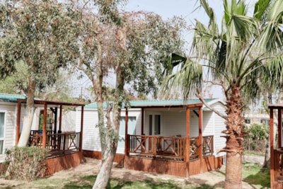 Bungalow Confort Delta 5 — 4