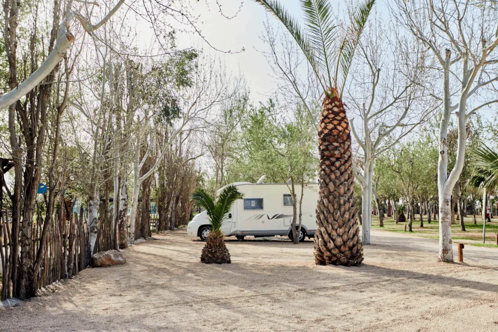 TAIGA Delta de l'Ebre